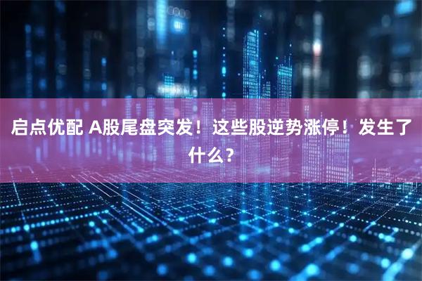 启点优配 A股尾盘突发！这些股逆势涨停！发生了什么？