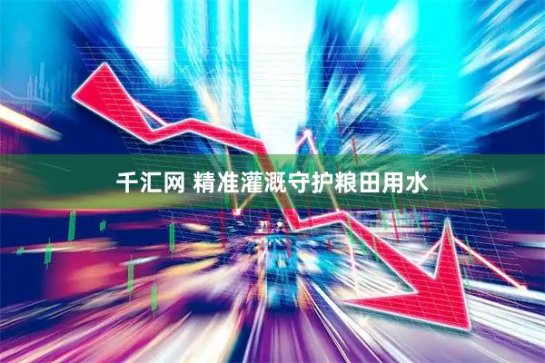 千汇网 精准灌溉守护粮田用水