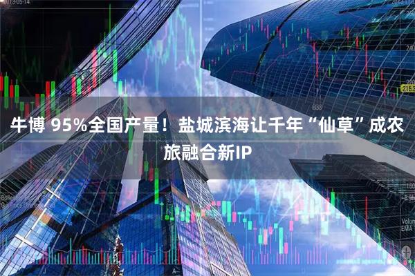 牛博 95%全国产量!盐城滨海让千年“仙草”成农旅融合新IP