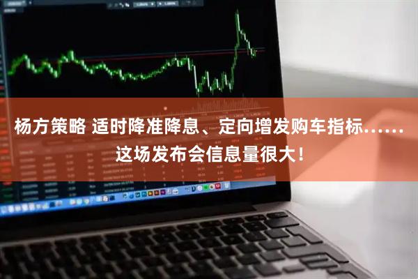 杨方策略 适时降准降息、定向增发购车指标……这场发布会信息量很大！