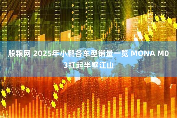 股粮网 2025年小鹏各车型销量一览 MONA M03扛起半壁江山
