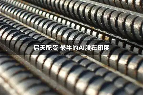 启天配资 最牛的AI股在印度